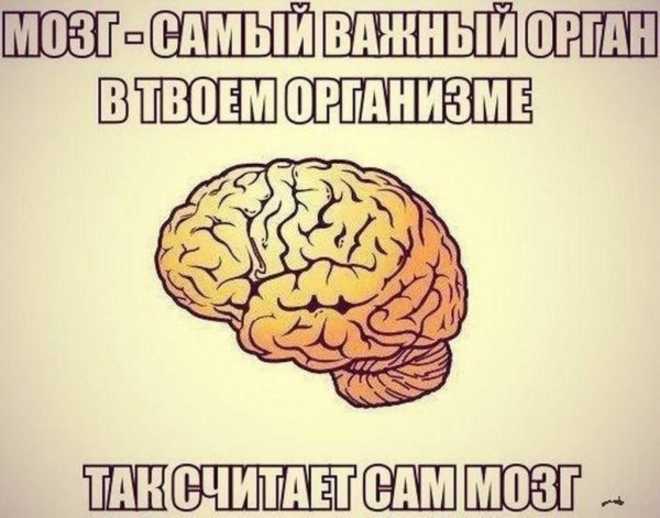 Смешной мозг