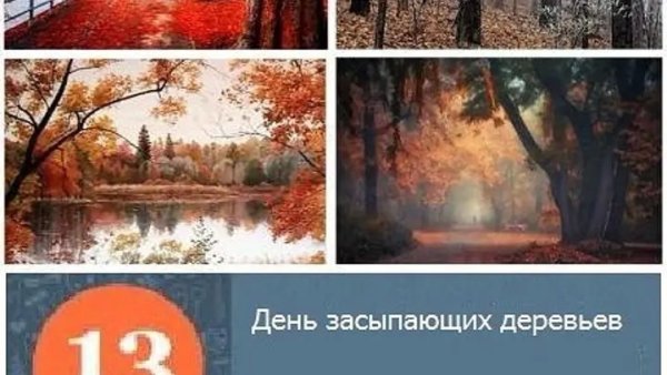 День засыпающих деревьев