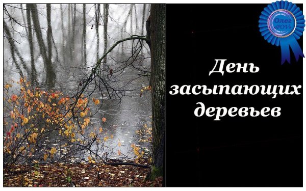 День засыпающих деревьев