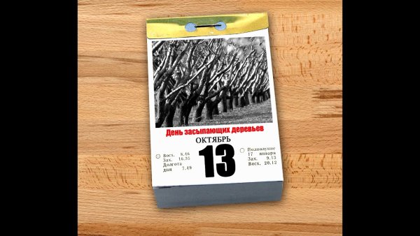 13 Октября праздник день засыпающих деревьев