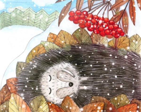 Ежик спит осенью иллюстрации