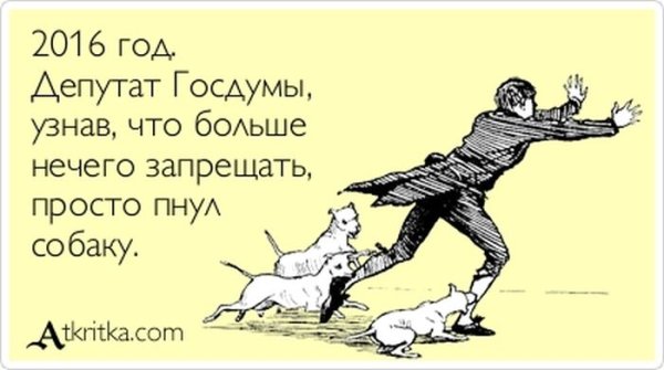 Пешеход всегда прав пока жив