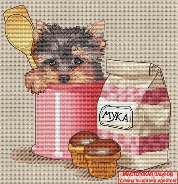 Йоркширский авторская схема