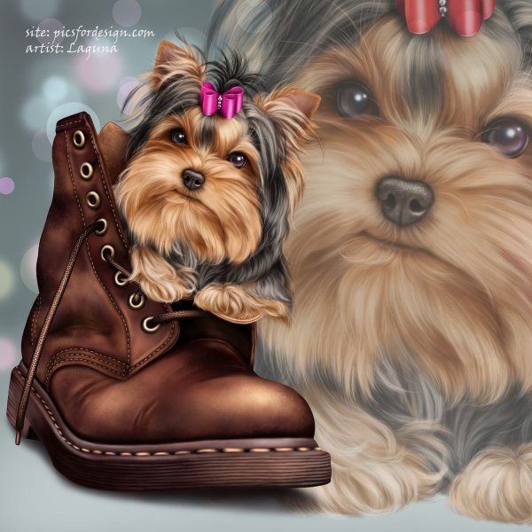 Иллюстрация с йоркширским