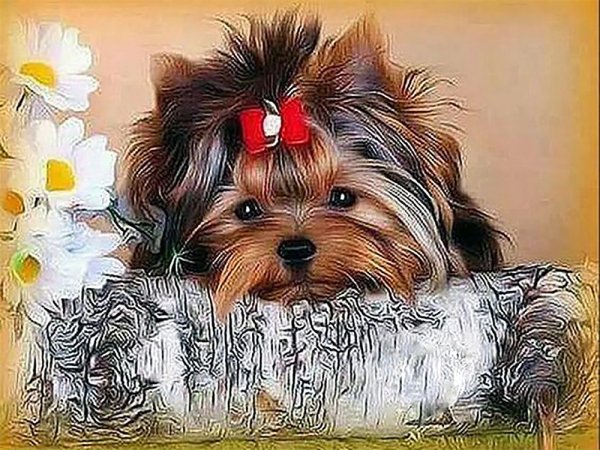 Алмазная мозаика Йорк