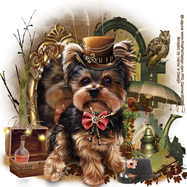 Открытки с йорками