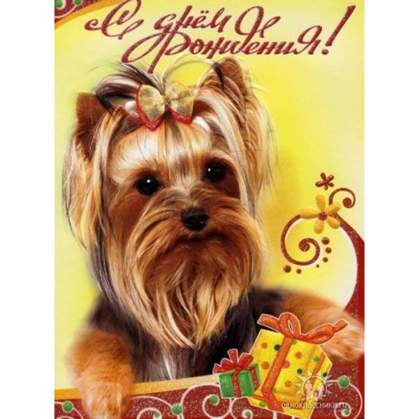 Открытки с днём рождения с собаками