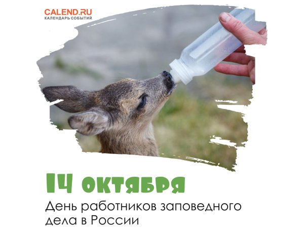 День работников заповедного дела