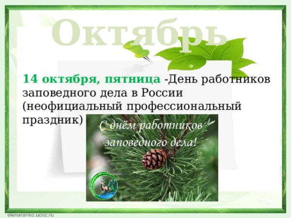День работников заповедного дела в детском саду