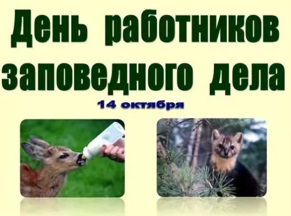14 Октября день заповедного дела
