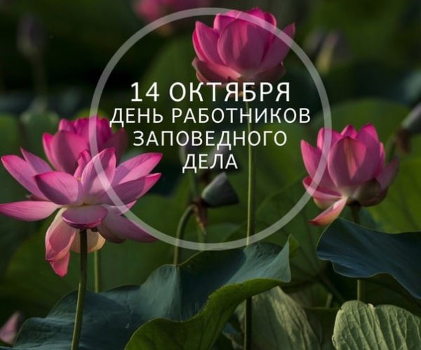 С днем заповедного работника