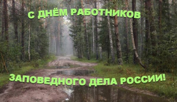 14 Октября день работников заповедного дела в России