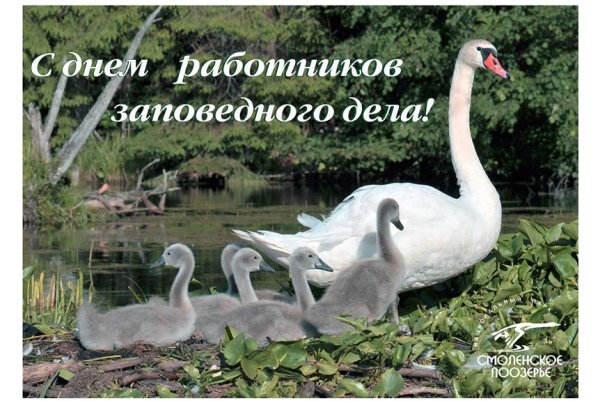 Смоленское Поозерье поздравления