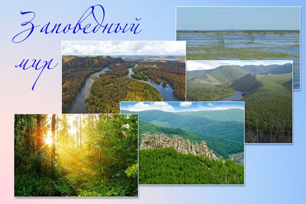 День работников заповедного дела