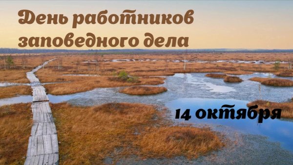14 Октября день работников заповедного дела