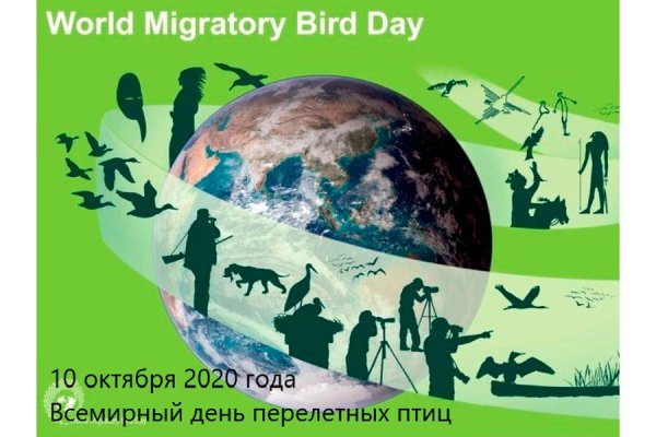 Всемирный день мигрирующих птиц 10 октября