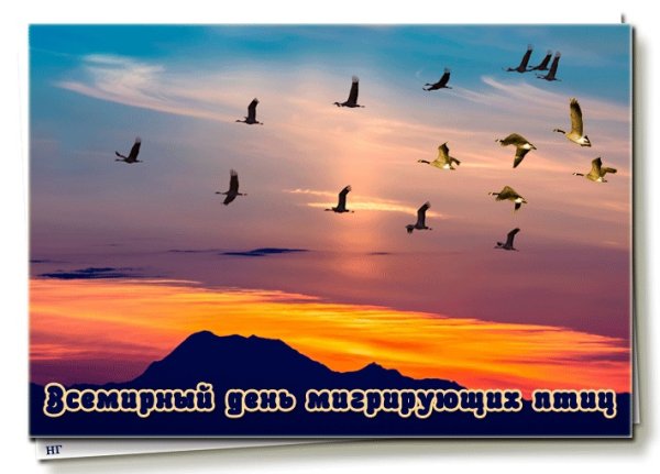 12 Октября Всемирный день мигрирующих птиц
