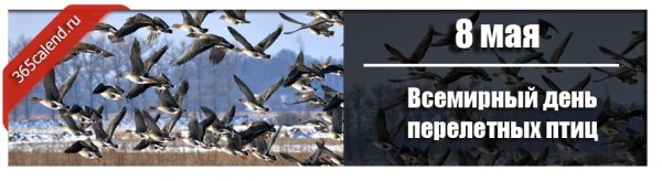 Всемирный день перелетных птиц 14 мая