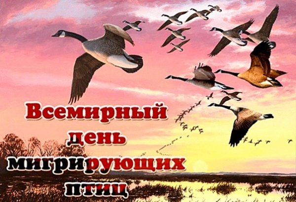 Всемирный день перелетных птиц 12 октября