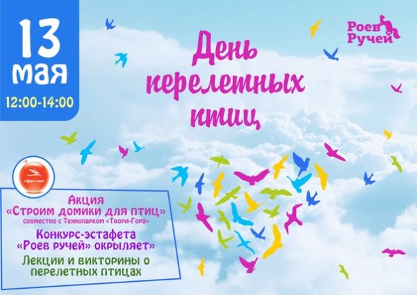 Всемирный день перелетных птиц