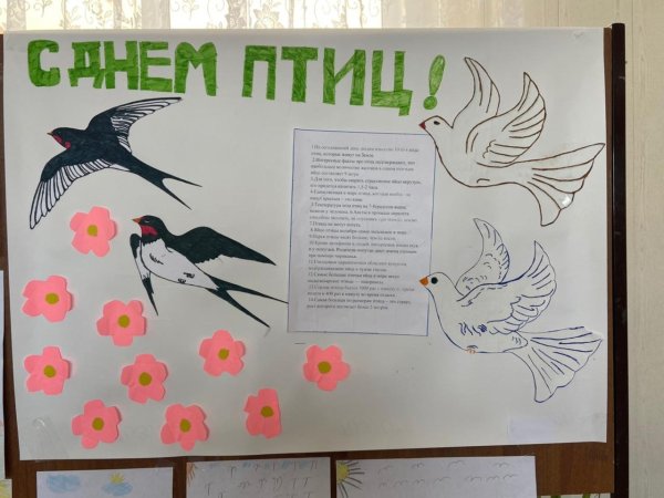 Международный день птиц плакат