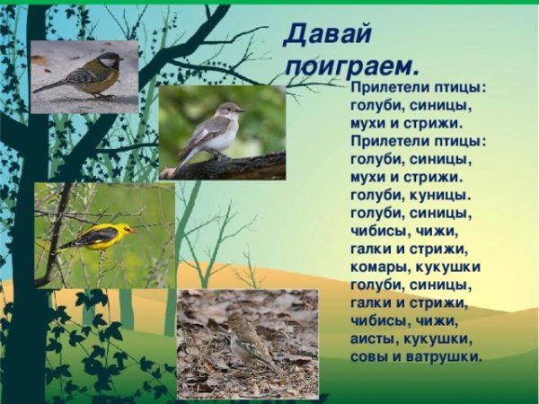 Всемирный день перелетных птиц