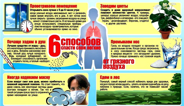 14 Октября Всемирный день легочного здоровья