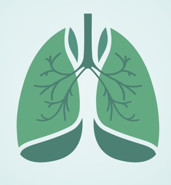 День здоровья лёгких