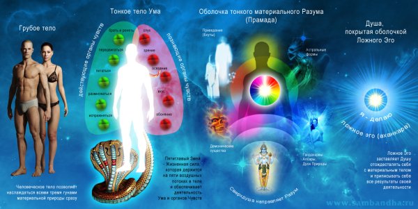 Энергетические центры человека тонкие тела и физическое тело