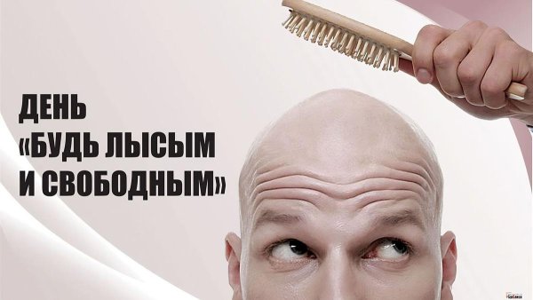 Лысина поздравляю