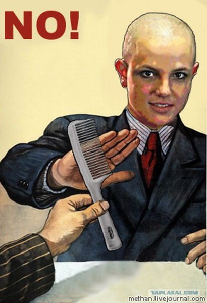 Шутки про лысых