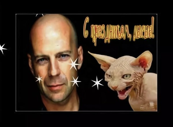 Всемирный день лысых мужчин