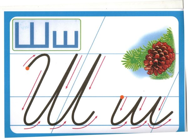 Написание буквы ш