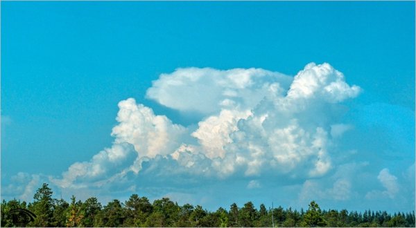 День плетения облаков