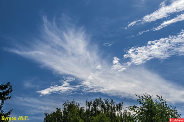 День плетения облаков 14 октября