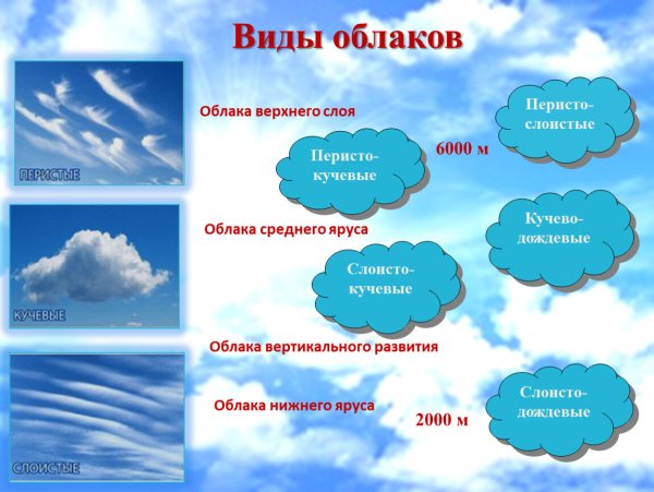 Назвать виды облаков