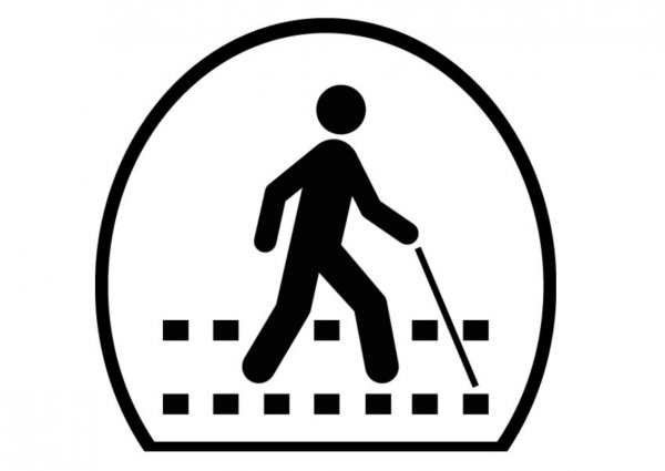 Белая трость акция