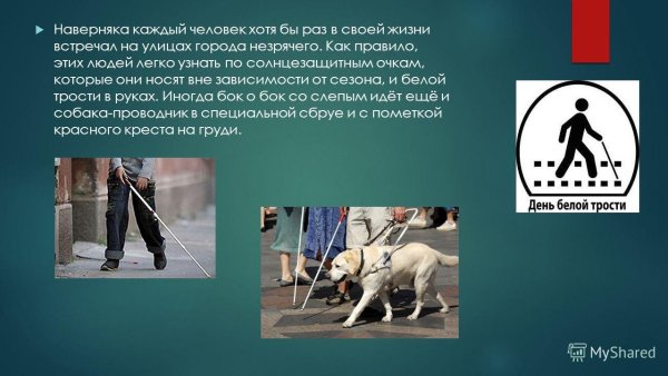 Международный день белой трости презентация