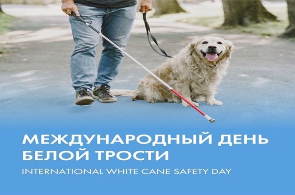 Региональная акция в Тверской области день белой трости 2020годуи