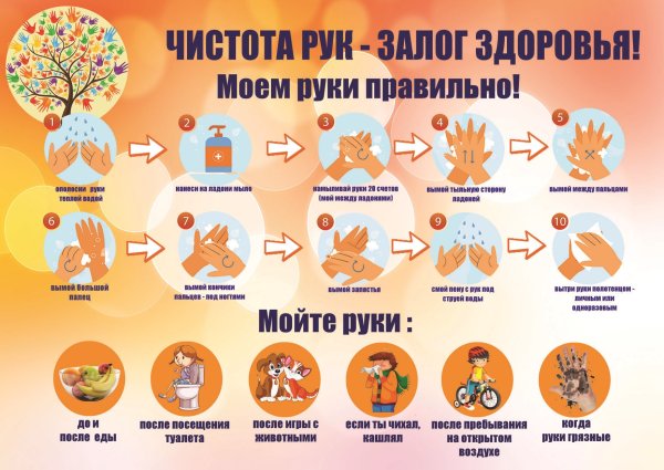 Чистота рук залог здоровья