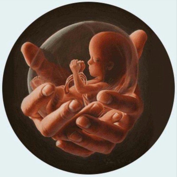 Иллюстрации на тему аборта