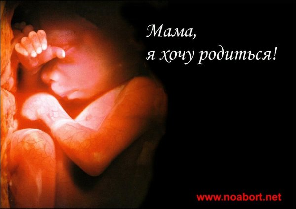 Мать и нерожденное дитя