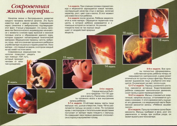 Профилактика абортов памятка