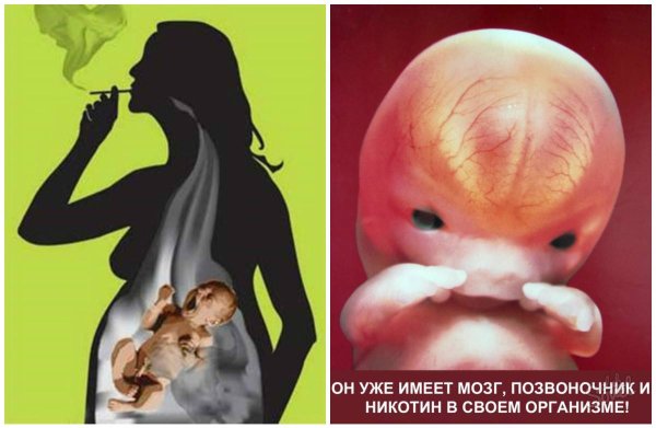 Влияние курения на беременность