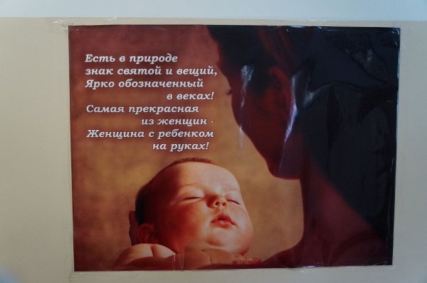 Аборт не аннулирует беременности