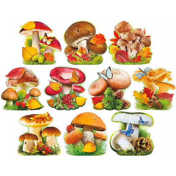 Осенние грибы для детей