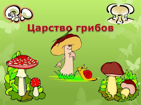 Царство грибы 3 класс окружающий мир
