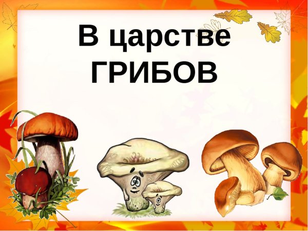 Грибы презентация для детей