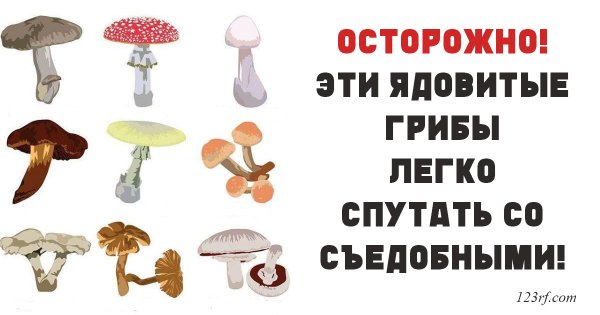 Осторожно ядовитые грибы