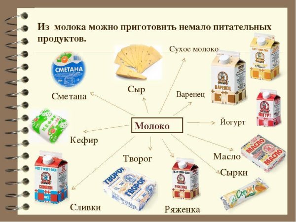 Виды молочных продуктов